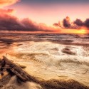 Einsam am Weststrand (Prerow / Darß)