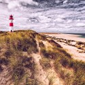 Friesische Schönheit (Sylt)