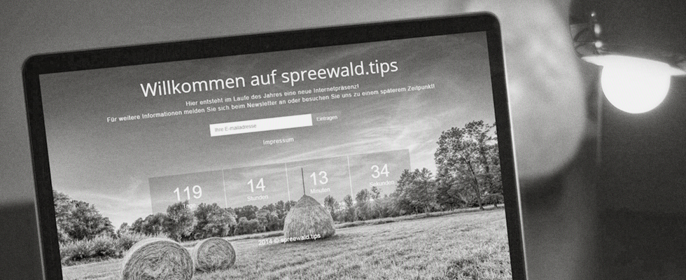 Website-Tapete auf Spreewald.tips Portal